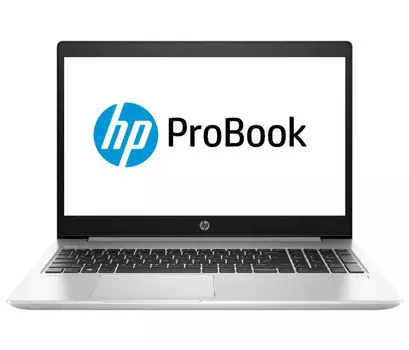 Ноутбук HP Probook 455 G7 (2D235EA)