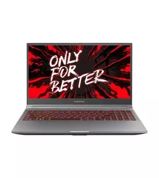 Ноутбук Maibenben X558 grey (X558FSJCLGRE0)