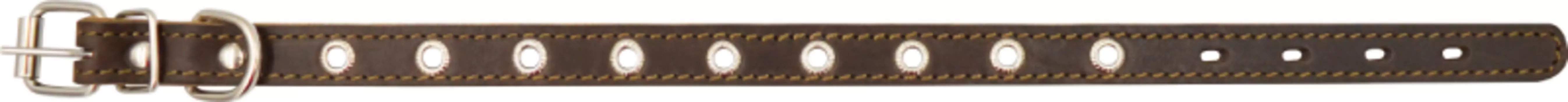 Ошейник для собак 0550К 1сл 36 мм блочка длина до 60 см коричневый