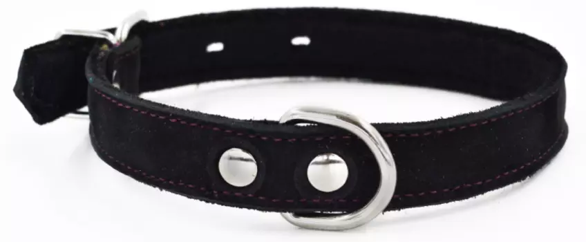 Ошейник для собак 1111Ч COLOR LINE 1сл 12 мм нубук/фетр длина 21-29 см черный