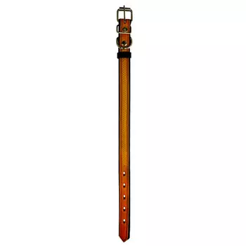 Ошейник для собак 1351Р HIGHT LINE 35 мм вышивка длина до 60 см рыжий