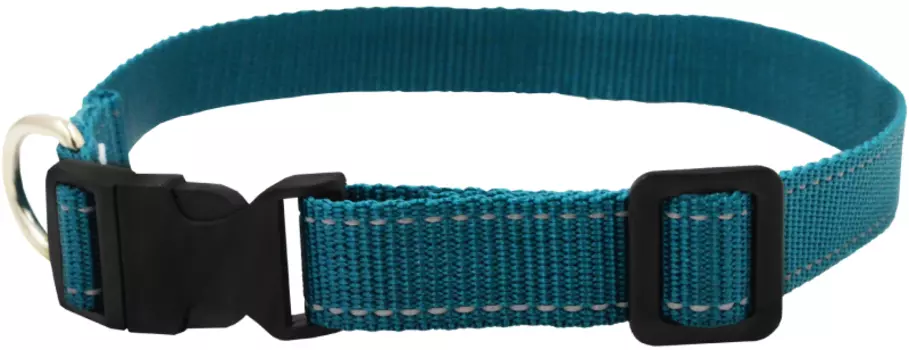 Ошейник для собак 5311МВ FRESH LINE 10 мм капрон, светоотр. нить, фастекс длина 15-25 см морская волна