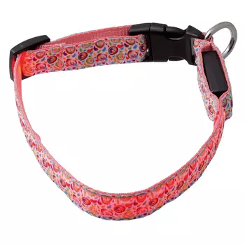 Ошейник для собак светящийся V.I.Pet 20 мм (40-50 см) "Акварель" с USB-зарядкой