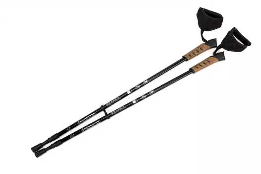 Палки карбоновые телескопические для скандинавской ходьбы «НОРДИК СТАЙЛ ПРО»