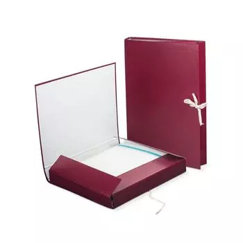 Папка для бумаг архивная А4 (225х310 мм), 30 мм, 2 завязки, бумвинил, до 250 листов, 120253