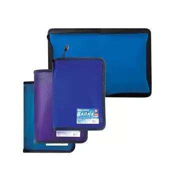 Папка на молнии пластиковая BRAUBERG Income, А5, 235х165 мм, тонированная, 3 цвета ассорти, 224056