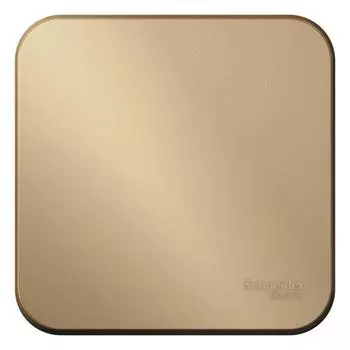 Переключатель 1-кл. ОП Blanca 10А IP20 (сх. 6) 250В с изолир. пластиной титан SchE BLNVA106014