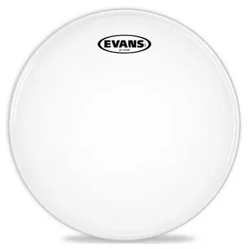 Пластик EVANS B10G1 10"