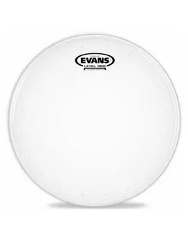 Пластик EVANS B12DRY 12"