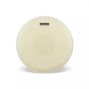 Пластик EVANS EC1250E