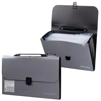 Портфель пластиковый BRAUBERG А4 (327х254х30 мм), 13 отделений, индексные ярлыки, фактура диагональ, серебристый, 221442