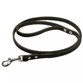 Поводок для собак 0161Ч 2сл 24 мм длина 1,2 м черный