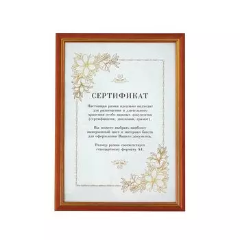 Рамка бизнес-класса 21х30 см, дерево, багет 16 мм, клен с позолотой, стекло, 5041-А4F