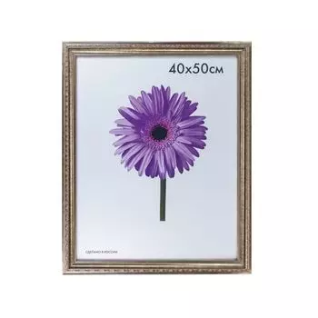 Рамка премиум 40х50 см, пластик, багет 33 мм, Dorothy, серебро, 0023-16-3330