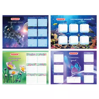 Расписание уроков и звонков А4, ПИФАГОР, "Окружающий мир", ассорти (4 вида), бумага 150 г/м2, 111659 (40 шт.)