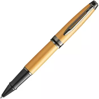 Ручка-роллер Waterman Expert DeLuxe 2119259
