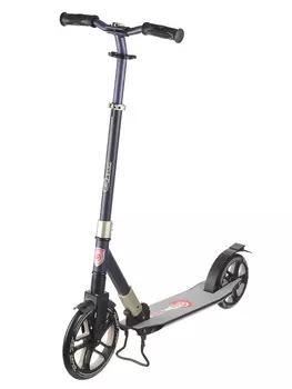 Самокат 2-х колесный ORZ 250-200 фиол/беж