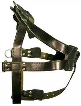 Шлейка для собак 0880Ч кожа+брезент 36 мм до 115 см черная