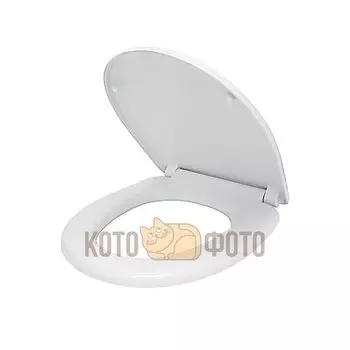 Сиденье для унитаза Iddis 042 142PPS0I31