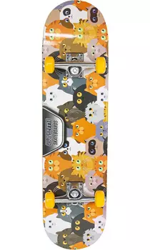 Скейтборд ATEMI 31*8, ASB31D01