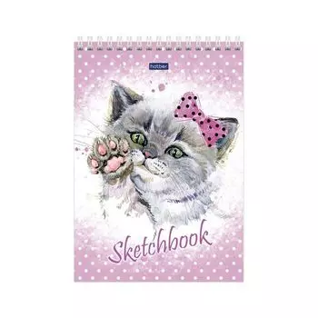 Скетчбук-блокнот для эскизов, белая бумага, А5, 100 г/м2, 80 л., гребень, Цап-Царап, 80Б5Aгр_17123