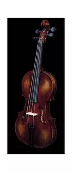 Скрипка Strunal 332-4/4 концертная