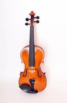 Скрипка Strunal 435-4/4 концертная