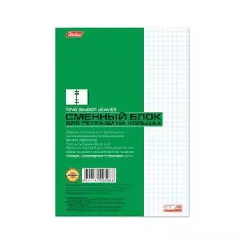 Сменный блок к тетради на кольцах, А5, 120 л., HATBER, Белый, 120СБ5B1 02449, T068786, (15 шт.)