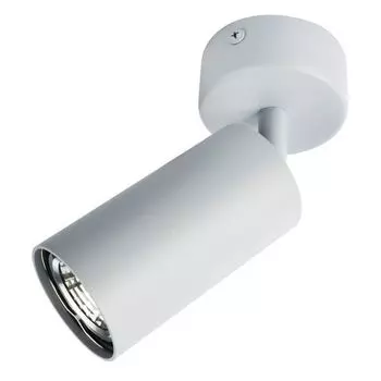 Спот Arte lamp Aquarius A3216PL-1GY