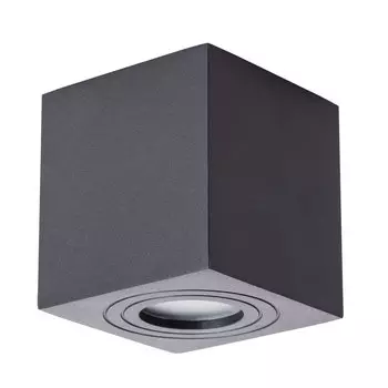 Спот Arte lamp Galopin A1461PL-1BK