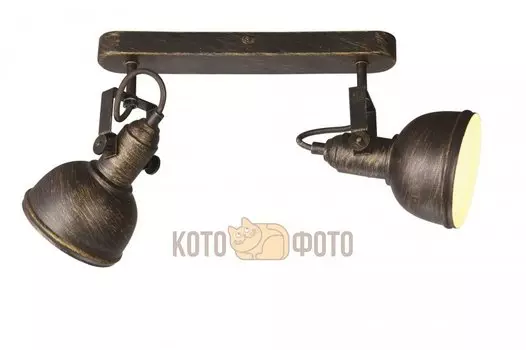 Спот Arte lamp Martin A5213AP-2BR