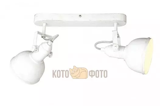 Спот Arte lamp Martin A5213AP-2WG
