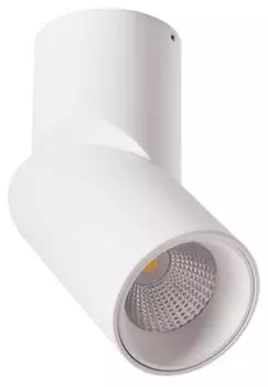 Спот Arte lamp Orione A7717PL-1WH