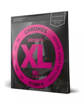Струны для бас-гитары D'ADDARIO ECB 81-5