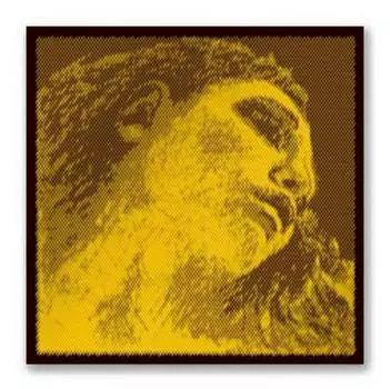 Струны для скрипки Pirastro 415021 Evah Gold Violin Комплект струн для скрипки (синтетика) Pirastro