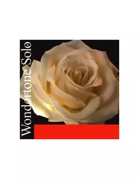 Струны Pirastro 410021 Wondertone Solo для скрипки