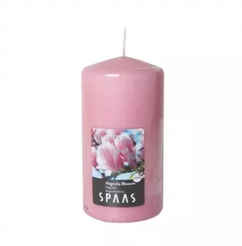 Свеча АРОМА СТОЛБИК 8/15см Цветущая магнолия (65ч) SPAAS