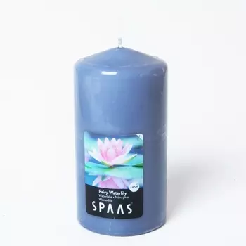 Свеча АРОМА СТОЛБИК 8/15см Волшебная кувшинка (65ч) SPAAS
