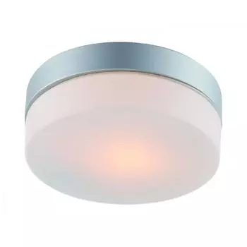 Светильник для влажных помещений Arte lamp A3211PL-1SI