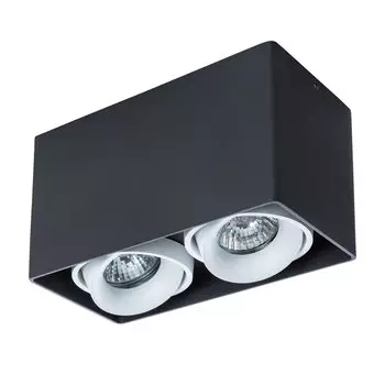 Светильник подвесной Arte Lamp Pictor A5654PL-2BK