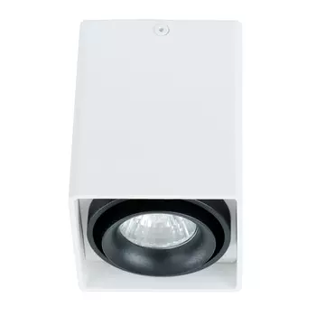 Светильник подвесной Arte Lamp Pictor A5655PL-1WH