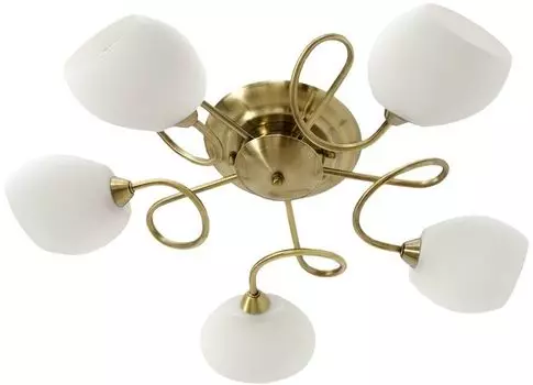 Светильник потолочный MW-Light Фиеста 267011805