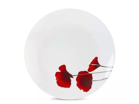 Тарелка обеденная Arcopal Бертиль P3231 25см