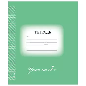 Тетрадь 12 л. BRAUBERG ЭКО 5-КА, частая косая линия, обложка картон, ЗЕЛЕНАЯ, 104766, (80 шт.)