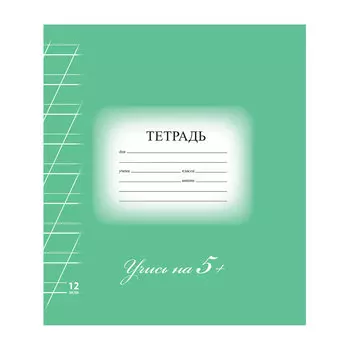 Тетрадь 12 л. BRAUBERG ЭКО 5-КА, косая линия, обложка картон, ЗЕЛЕНАЯ, 104762, (80 шт.)