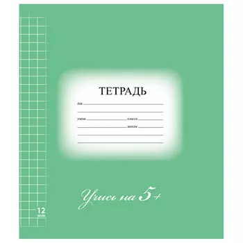 Тетрадь 12 л. BRAUBERG ЭКО 5-КА, крупная клетка, обложка картон, ЗЕЛЕНАЯ, 104761, (80 шт.)