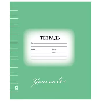 Тетрадь 12 л. BRAUBERG ЭКО 5-КА, узкая линия, обложка картон, ЗЕЛЕНАЯ, 104765, (80 шт.)