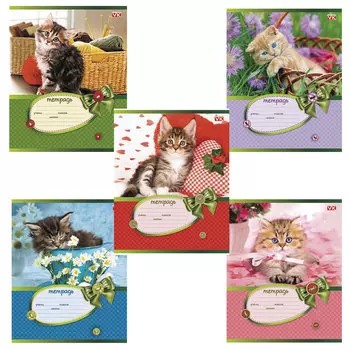 Тетрадь 18 л., HATBER VK, клетка, обложка картон, ЦАП-ЦАРАП (5 видов), 18Т5С1, T211533, (40 шт.)