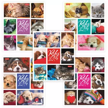 Тетрадь 24 л., HATBER, клетка, обложка картон, Relax Life (5 видов), 24Т5В1, (36 шт.)