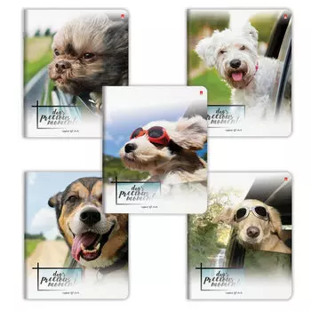 Тетрадь А5, 48 л., АЛЬТ, скоба, клетка, фольга, гибридный лак, СОБАКИ. С ВЕТЕРКОМ (5 видов), 7-48-610, (10 шт.)